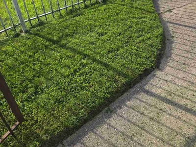 Lawn Care service in Oswego, 60543
