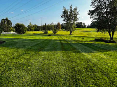 Lawn Care service in Frankfort, 60423