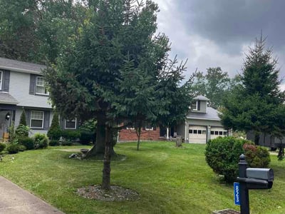 Lawn Care service in Massillon, 44646