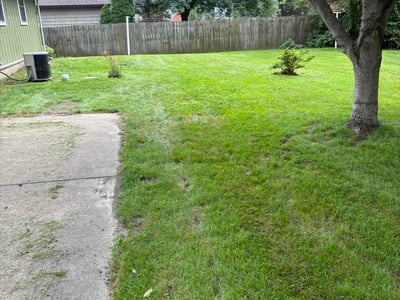 Lawn Care service in Dyer, 46311