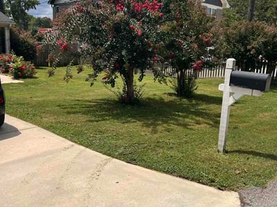 Lawn Care service in Winder, 30680