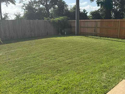 Lawn Care service in Little Elm, 75068