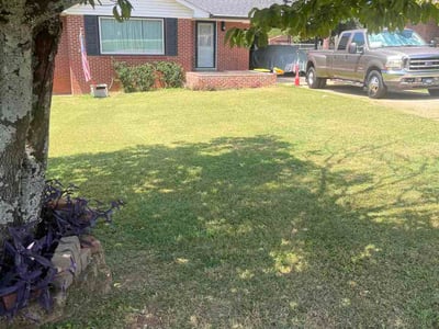 Lawn Care service in Griffin, 30224