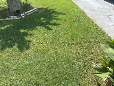 Lawn Care service in Norcross, 30071