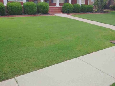 Lawn Care service in Owens Cross Roads, 35763