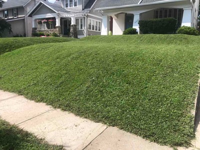 Lawn Care service in Loveland, 45140