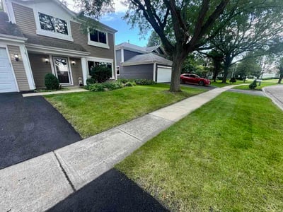 Lawn Care service in Aurora, 60506