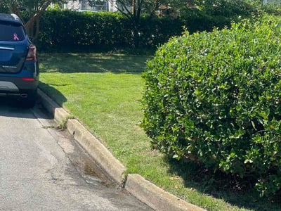 Lawn Care service in Bell Gardens, 90201
