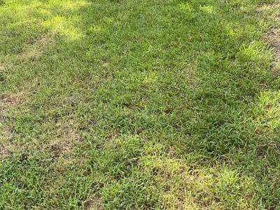 Lawn Care service in Lockhart, 78644