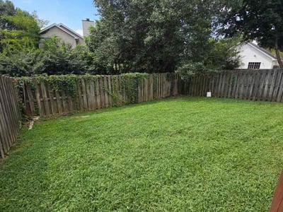 Lawn Care service in Hermitage, 37076