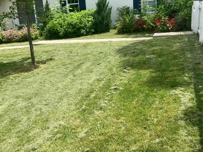 Lawn Care service in Hermitage, 37076