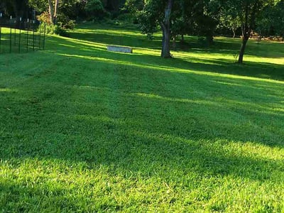 Lawn Care service in Horn Lake, 37160