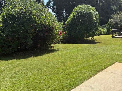 Lawn Care service in Austell, 30168