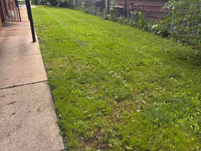 Lawn Care service in Huntley, 60142