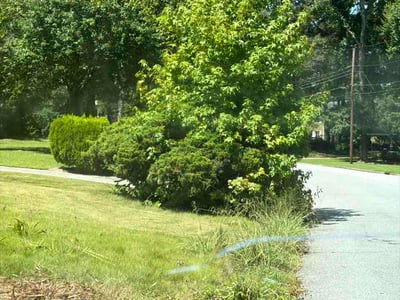 Lawn Care service in Burbank, 91502