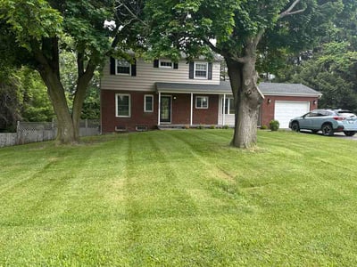 Lawn Care service in Syracuse, 13202