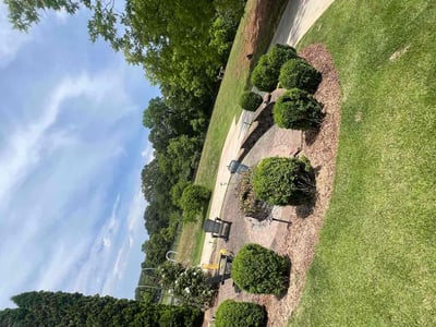Lawn Care service in ,