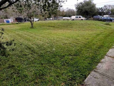 Lawn Care service in Syracuse, 13202