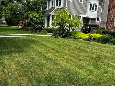 Lawn Care service in Hanover Park, 60133