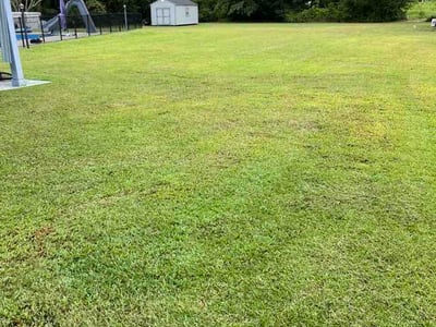 Lawn Care service in Waynesville, 28786