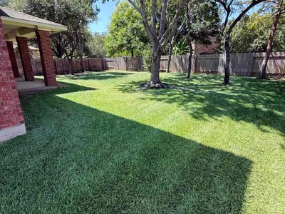 Lawn Care service in Cedar Park, 78613