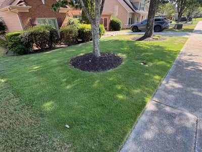 Lawn Care service in Tucker, 30084