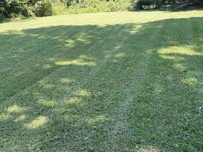 Lawn Care service in Riverdale, 30274