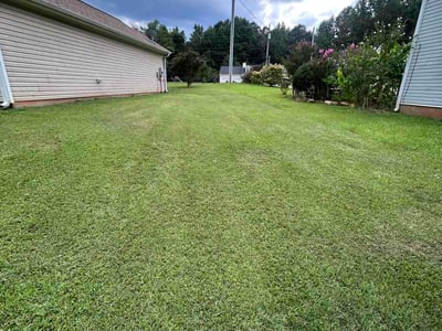 Lawn Care service in Temple, 30179