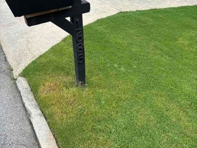 Lawn Care service in Granada Hills, 91344