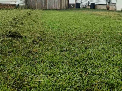 Lawn Care service in Woodbury, 37190