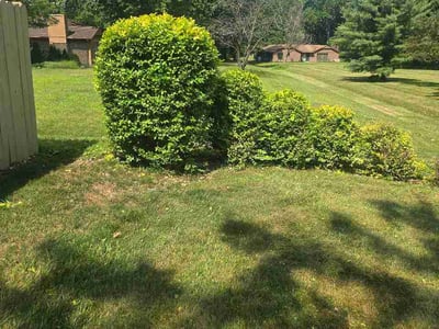 Lawn Care service in Wantagh, 11793