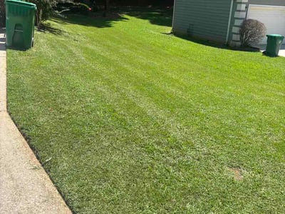 Lawn Care service in Stone Mountain, 30083