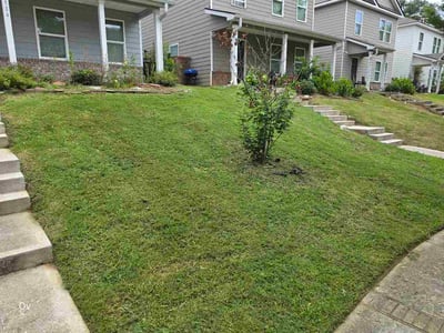 Lawn Care service in Conyers, 30012