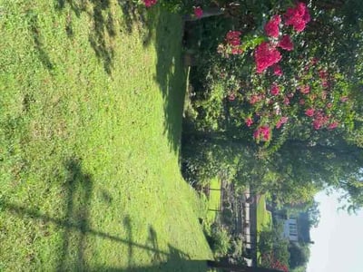 Lawn Care service in Benton, 72015
