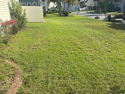 Lawn Care service in Loris, 29569