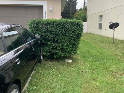 Lawn Care service in Baldwin Park, 91706
