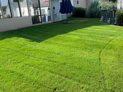 Lawn Care service in Belmont, 28012