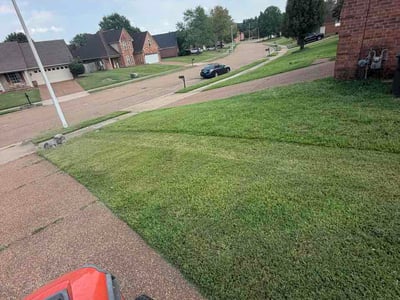 Lawn Care service in Arlington, 38002
