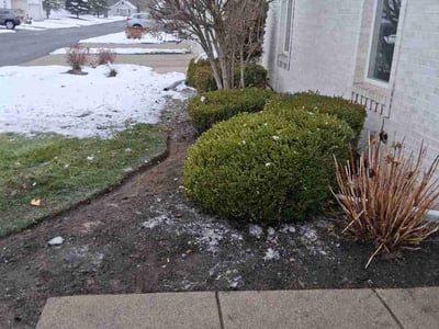 Lawn Care service in Arcadia, 91007