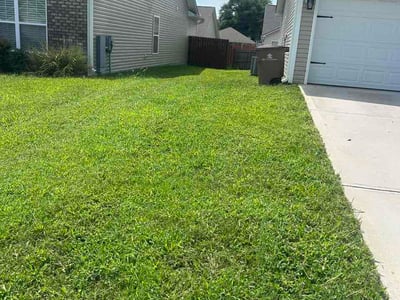 Lawn Care service in Loudon, 37774