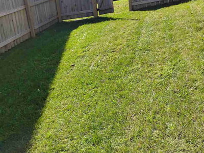 Lawn Care service in Loudon, 37774