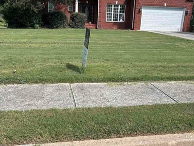 Lawn Care service in Monroe, 30655