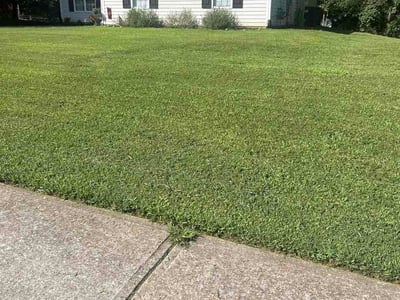 Lawn Care service in Monroe, 30655