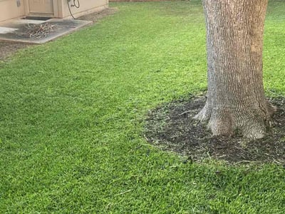 Lawn Care service in Wimberley, 78676