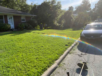 Lawn Care service in Reidsville, 27320