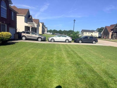 Lawn Care service in Rex, 30273