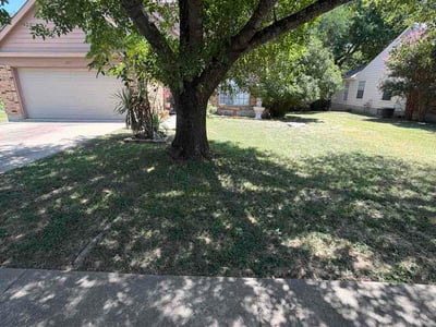 Lawn Care service in Cedar Creek, 78612