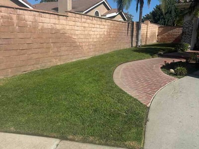 Lawn Care service in Big Bear Lake, 92315