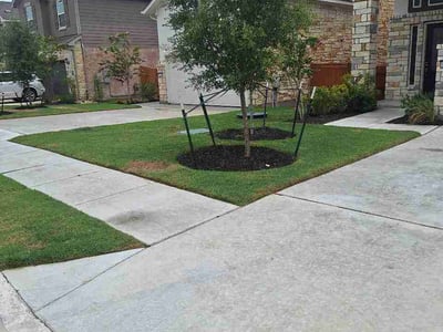 Lawn Care service in Wells Branch, 78728