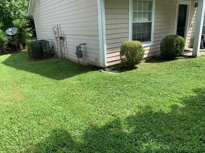 Lawn Care service in College Park, 30337